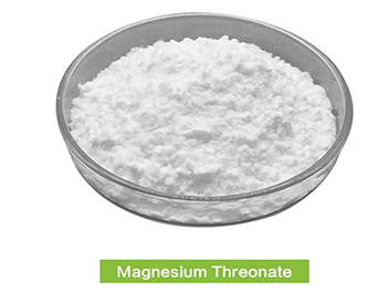 Why Should Businesses Consider Sourcing Magnesium Threonate Powder in Bulk?